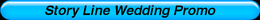 Story Line Wedding Promo Video